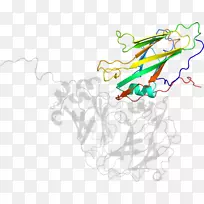 ���߼�����-��-������