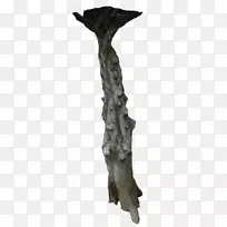 树干树-空若网 树干树-空若网