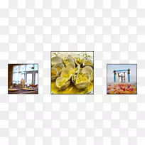 �ʻ���ƻ������-����-������