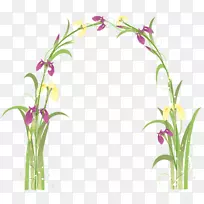 ������-����-������