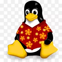 linux发行版debian桌面环境操作系统-夏威夷衬衫-空若网 linux发行版debian桌面环境操作系统-夏威夷衬衫-空若网