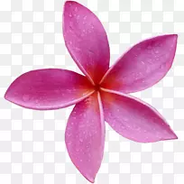 电话数字图像剪辑艺术-电话-空若网 电话数字图像剪辑艺术-电话-空若网