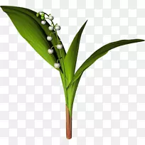 古董装饰饰物图片材料-空若网 古董装饰饰物图片材料-空若网