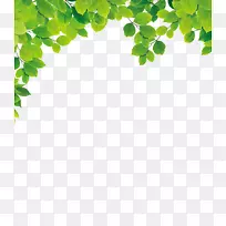 ��Ҷ-������Ҷ-������