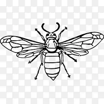 黄蜂昆虫剪贴画-昆虫-空若网 黄蜂昆虫剪贴画-昆虫-空若网