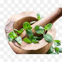 ²ÝÒ©ÏãÁÏÓªÑøÑ§¼Ò-¿ÕÈôÍø ²ÝÒ©ÏãÁÏÓªÑøÑ§¼Ò-¿ÕÈôÍø