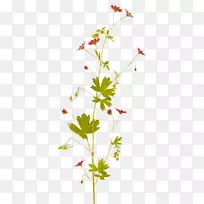 �������������-��-������