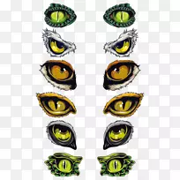 符号眼-空若网 符号眼-空若网