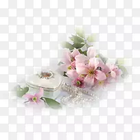 Message Orkut��������-�����洢-������