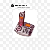 �绰Ħ������-���-������