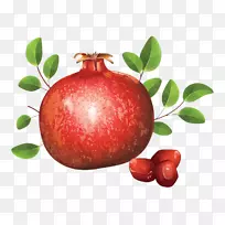 石榴免剪贴画手绘石榴-空若网 石榴免剪贴画手绘石榴-空若网