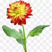 ������������-������-������