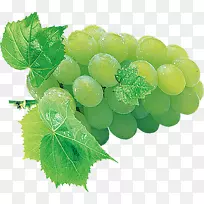 葡萄果实恐惧症-绿葡萄-空若网 葡萄果实恐惧症-绿葡萄-空若网