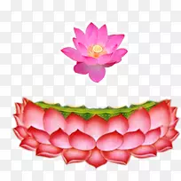 莲藕心经佛法莲花材料-空若网 莲藕心经佛法莲花材料-空若网