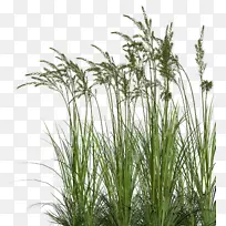 ���Ĳ������ԭ��-������