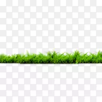 �ȸ�ͼƬ���������̲�-������