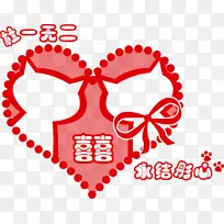 �������뺯��ɫ��־-��ɫ��������־-������