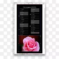 相框粉红m多媒体-空若网 相框粉红m多媒体-空若网