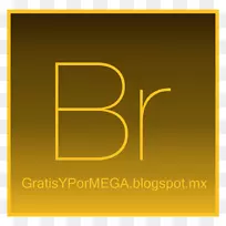 AdobeBridge adobe������adobe�̻����ͼ��-������