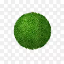 草坪绿草-空若网 草坪绿草-空若网