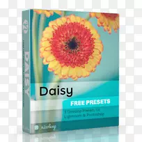 Adobe Lighttroom adobe创意云adobe系统Transvaal da可不可以-葡萄园水彩画-空若网 Adobe Lighttroom adobe创意云adobe系统Transvaal da可不可以-葡萄园水彩画-空若网