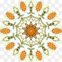 对称花线大丽花图案-花-空若网 对称花线大丽花图案-花-空若网