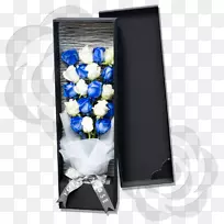 ��ý�����-������