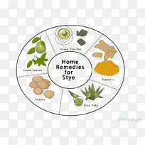 蔬菜超级食物果树-蔬菜-空若网 蔬菜超级食物果树-蔬菜-空若网