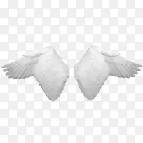 ������-������Ӱ���޹�˾-������