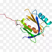 �ߵ������������-������