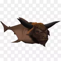 牛猪鼻子野生动物-牛鲨-空若网 牛猪鼻子野生动物-牛鲨-空若网