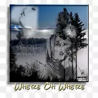 ����ͼƬ��-������