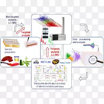 材料线设计-空若网 材料线设计-空若网