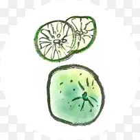 材料-空若网 材料-空若网