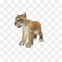 �Ա�����èë�����Ա�-������