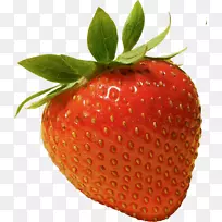 �¸���˹��ݮ��ɭ��ɣ�ǡ��䷽��ɹ˪�ɷ�-������