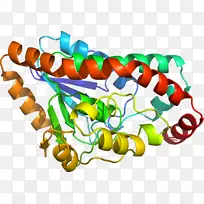 ÓлúÌå¼ôÌù»-¿ÕÈôÍø ÓлúÌå¼ôÌù»-¿ÕÈôÍø