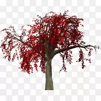 树枝剪贴画-空若网 树枝剪贴画-空若网