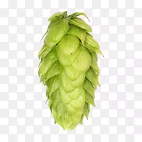 水果-空若网 水果-空若网