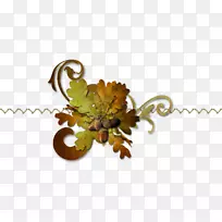 [ҽ]��˿��Ҷ-������