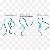 �����������彡�����Ӻ�������-������