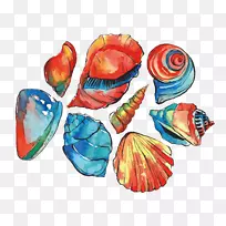 水彩画插图.外壳-空若网 水彩画插图.外壳-空若网