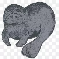 犬科犬鼻毛狗-空若网 犬科犬鼻毛狗-空若网