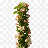 花卉设计-空若网 花卉设计-空若网