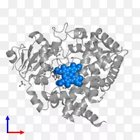 îÜÀ¶ÌåÖ鱦Ê÷×ÖÌåÊ÷-¿ÕÈôÍø îÜÀ¶ÌåÖ鱦Ê÷×ÖÌåÊ÷-¿ÕÈôÍø