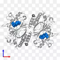 车身珠宝字体设计-空若网 车身珠宝字体设计-空若网