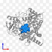 钴蓝体珠宝树字体树-空若网 钴蓝体珠宝树字体树-空若网