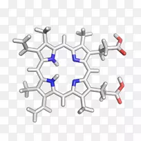 ��·��������-������