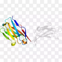 �ߵ������-��-������