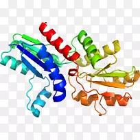 �����߶����������-������